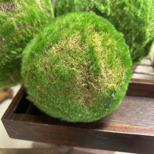 Moss Orb
