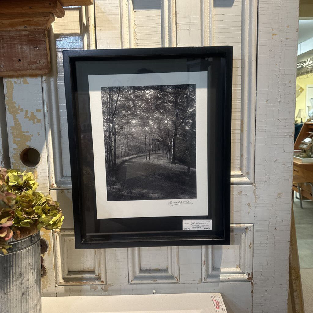 Yaddo Photo--Bradford