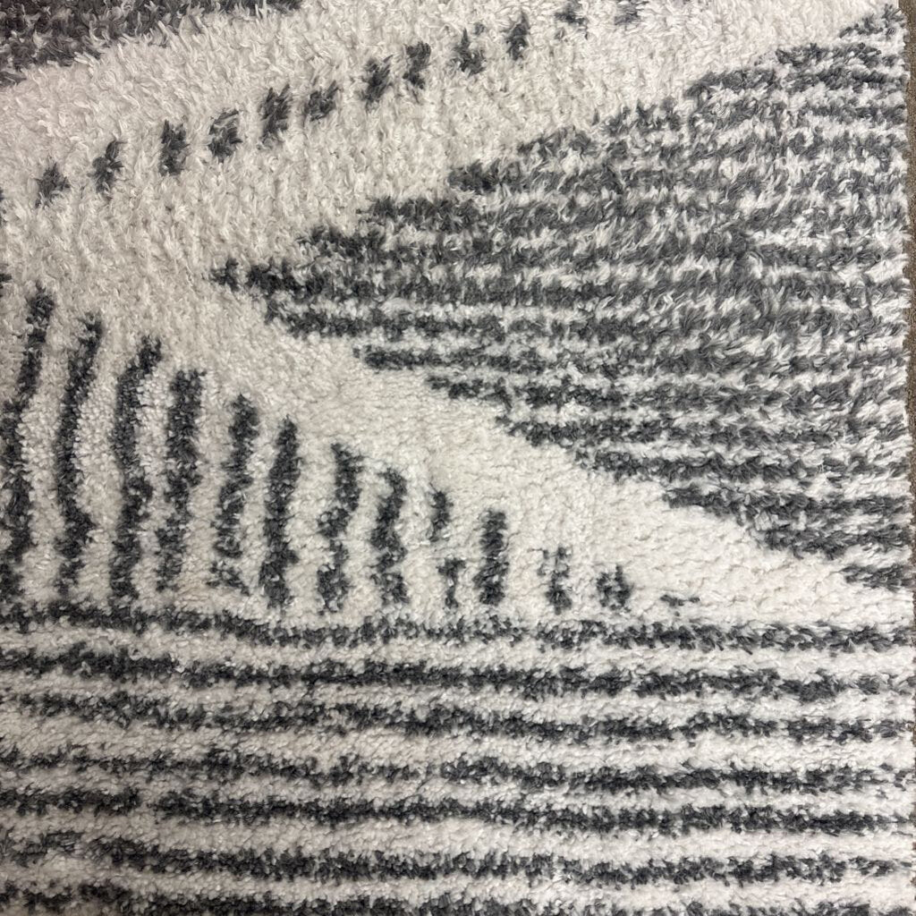 Shag Carpet