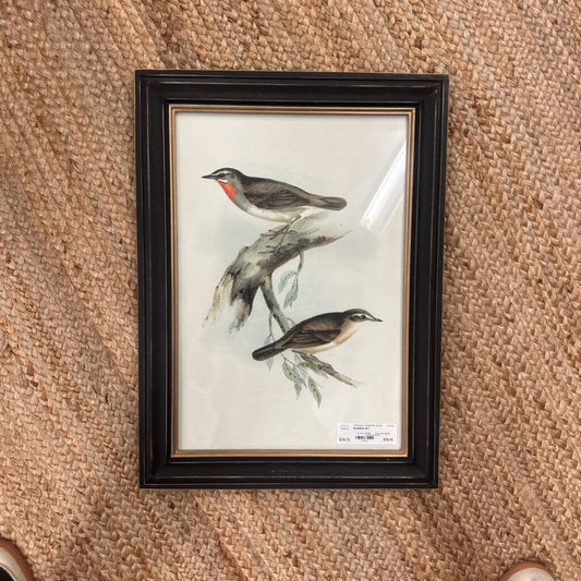 Audubon Art