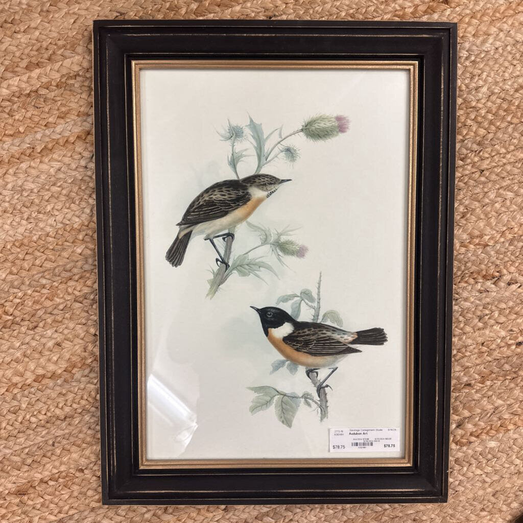 Audubon Art