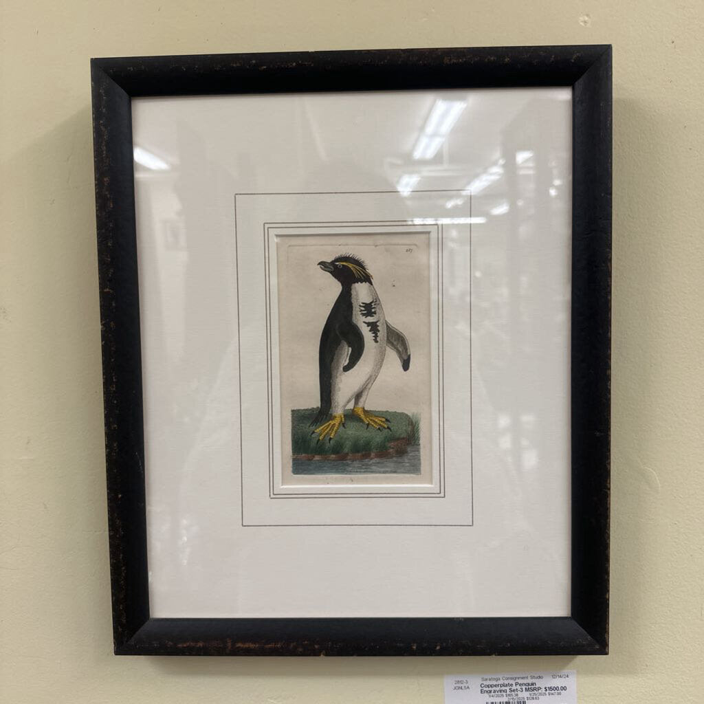 Copperplate Penguin Engraving