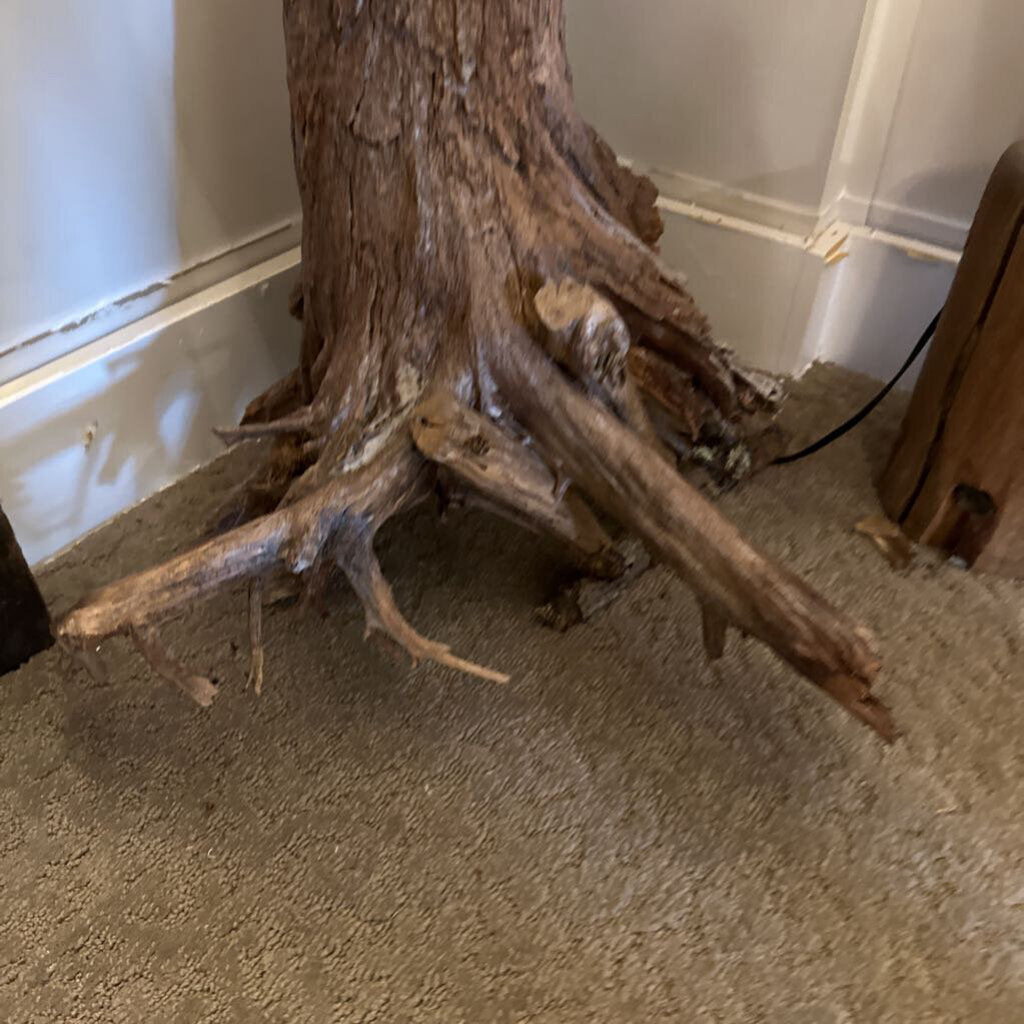 Rustic Tree Root Table