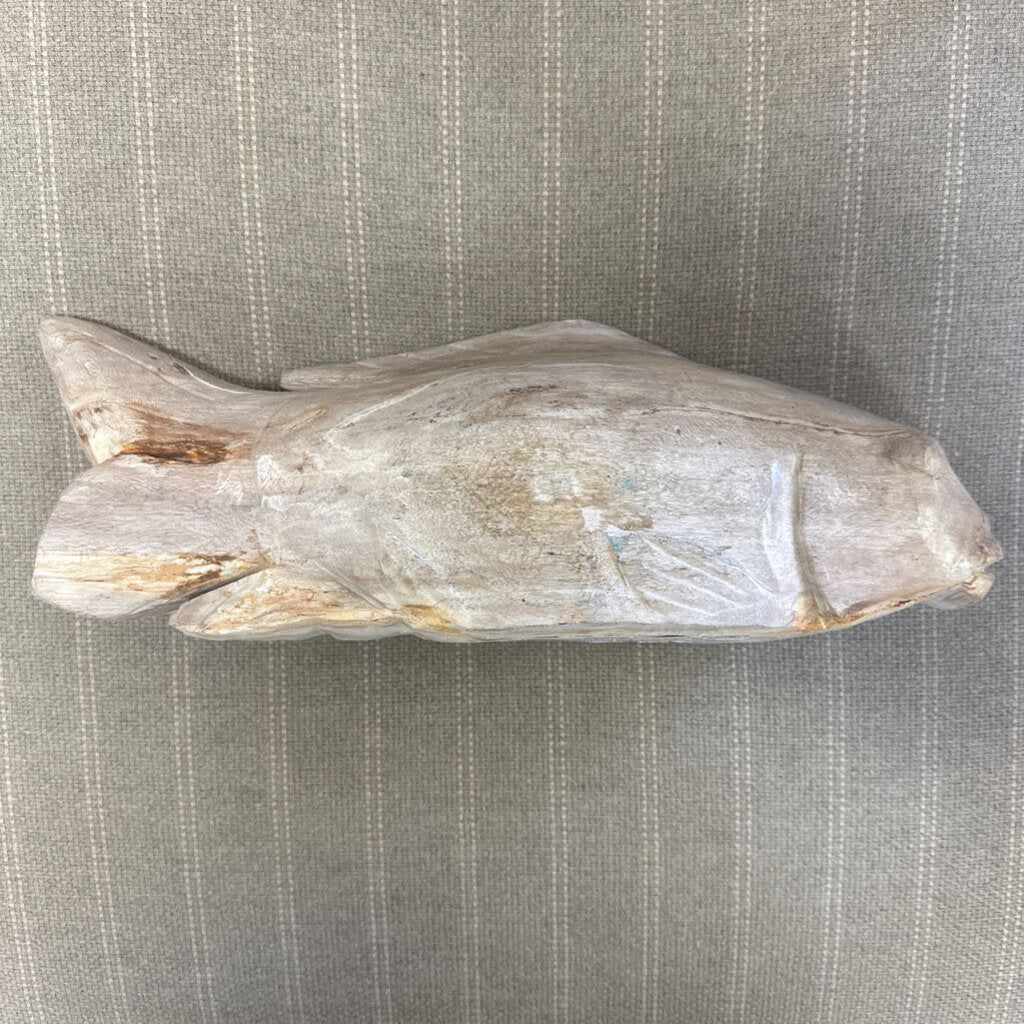 Petrified Wooden Fish