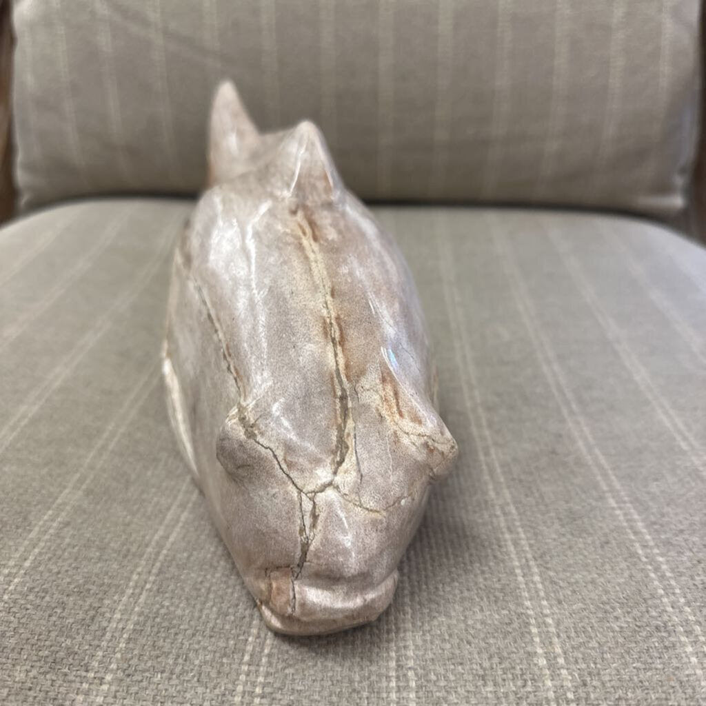 Petrified Wooden Fish