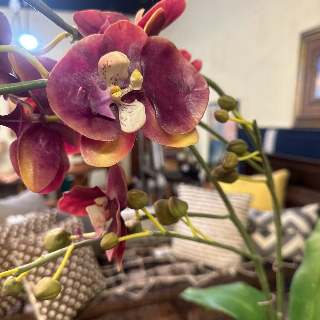 Faux Orchid